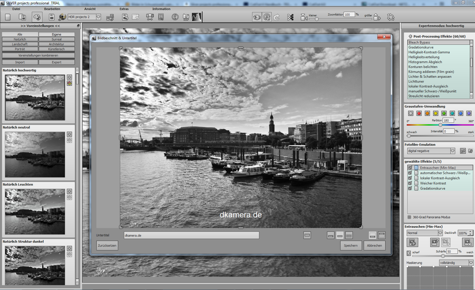 Franzis_Silver_Projects_Professional_6.jpg