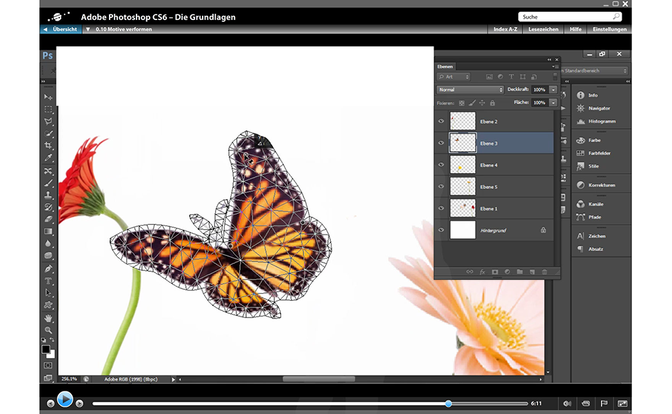 Free New Adobe CS6 Tutorials: 30 Hours of Online Video