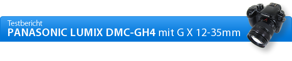 Panasonic Lumix DMC-GH4 Abbildungsleistung