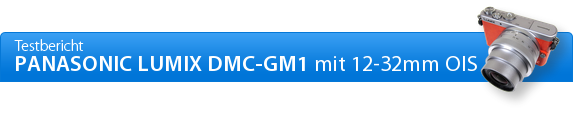 Panasonic Lumix DMC-GM1 Datenblatt