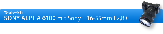 Sony Alpha 6100 Datenblatt