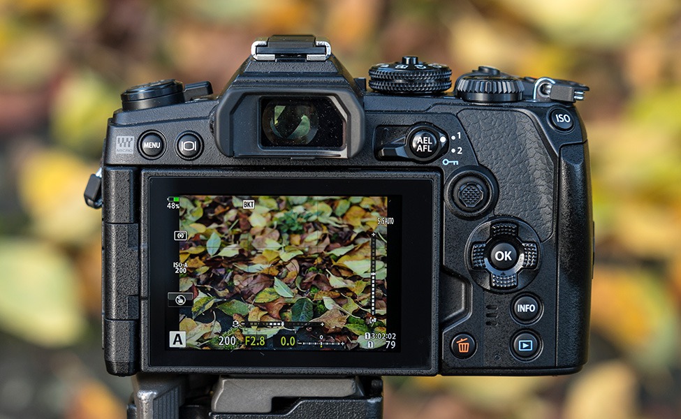 Welche Kameras können Fokus-Bracketing?