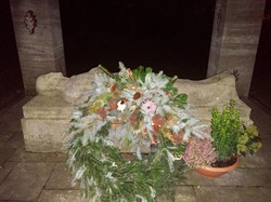 Urheber der Abbildung: dkamera.de