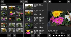 Urheber der Abbildung: dkamera.de