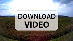 Urheber der Abbildung: dkamera.de