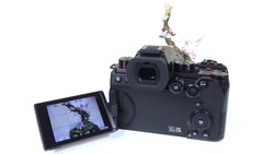 Urheber der Abbildung: dkamera.de