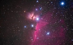 Urheber der Abbildung: OM Digital Solutions