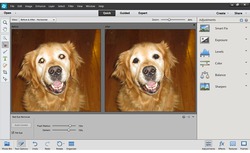 Photoshop Elements Bild In Bild Einfugen