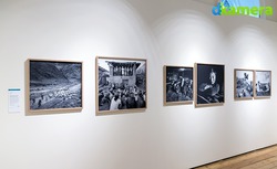 Urheber der Abbildung: dkamera.de