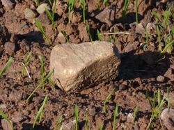 Urheber der Abbildung: dkamera.de