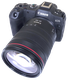 Canon  EOS R8