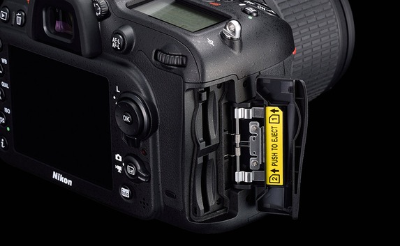 Urheber der Abbildung: Nikon