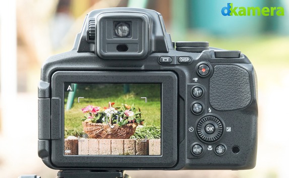 Spezialtest: Tierfotografie mit der Nikon Coolpix P900 (Teil 2