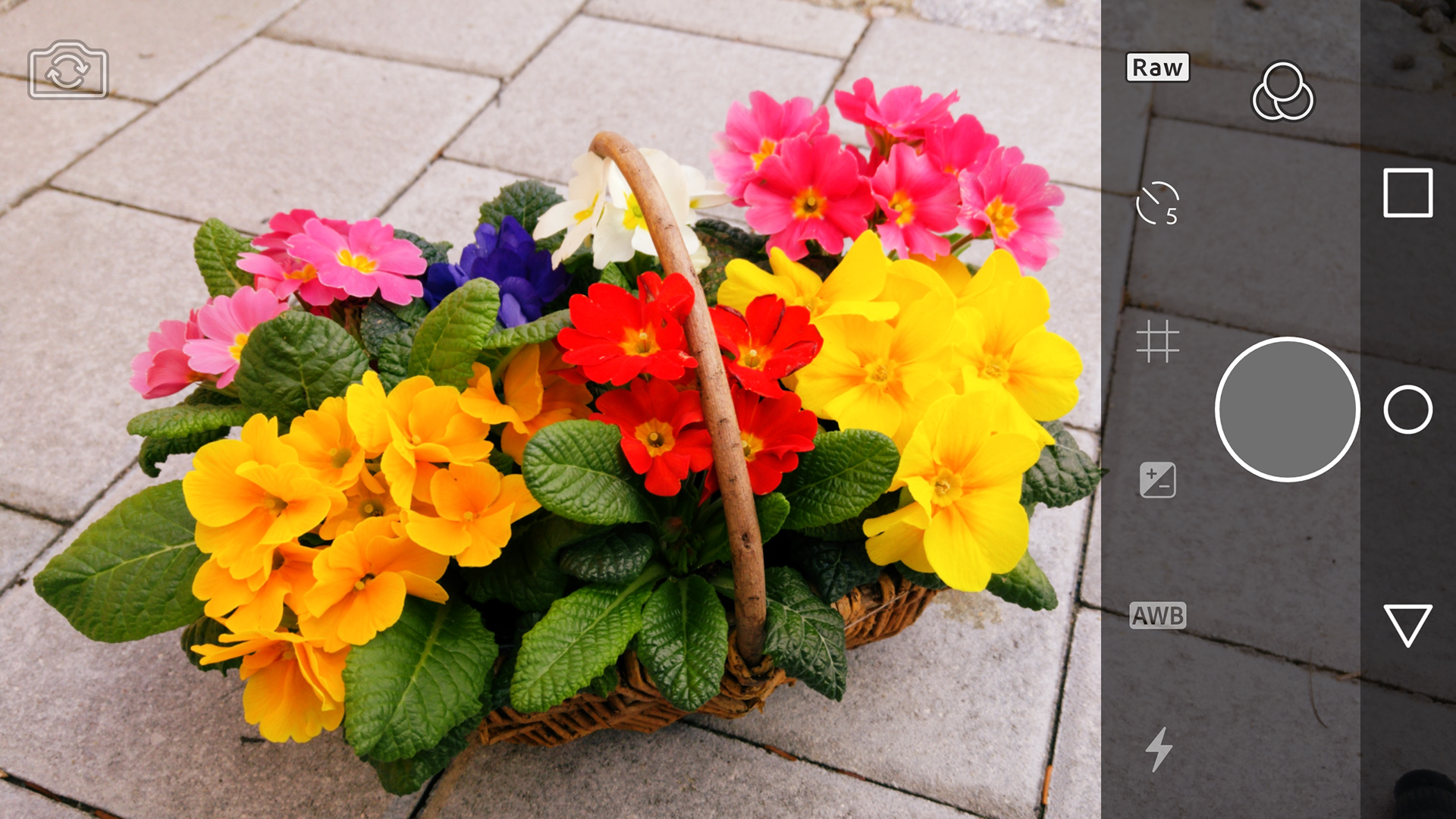 Adobe Photoshop Lightroom Mobile Im Dkamera App Test News