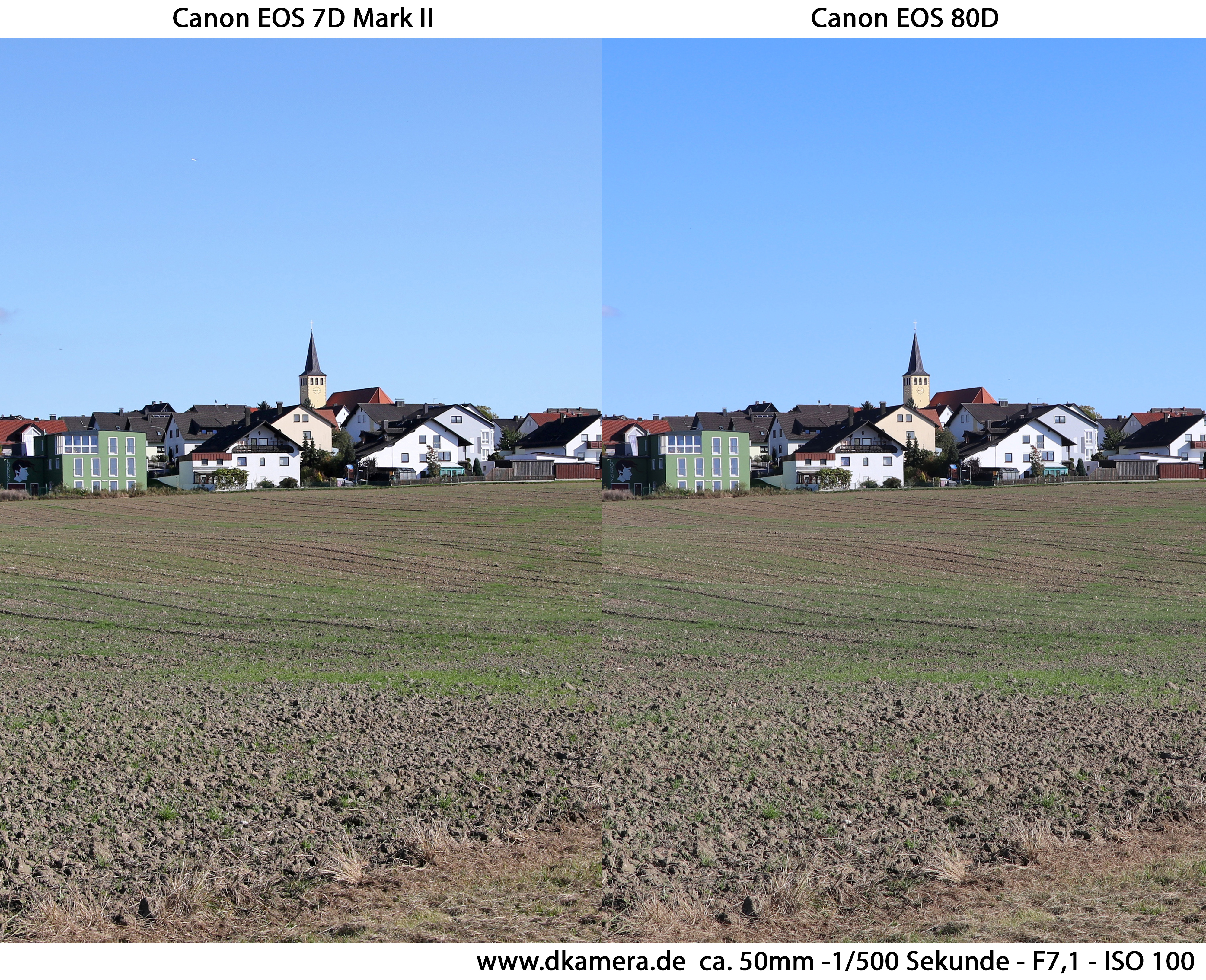 Canon Eos 7d Mark Ii Und Canon Eos 80d Im Duell Teil 1 News Dkamera De Das Digitalkamera Magazin