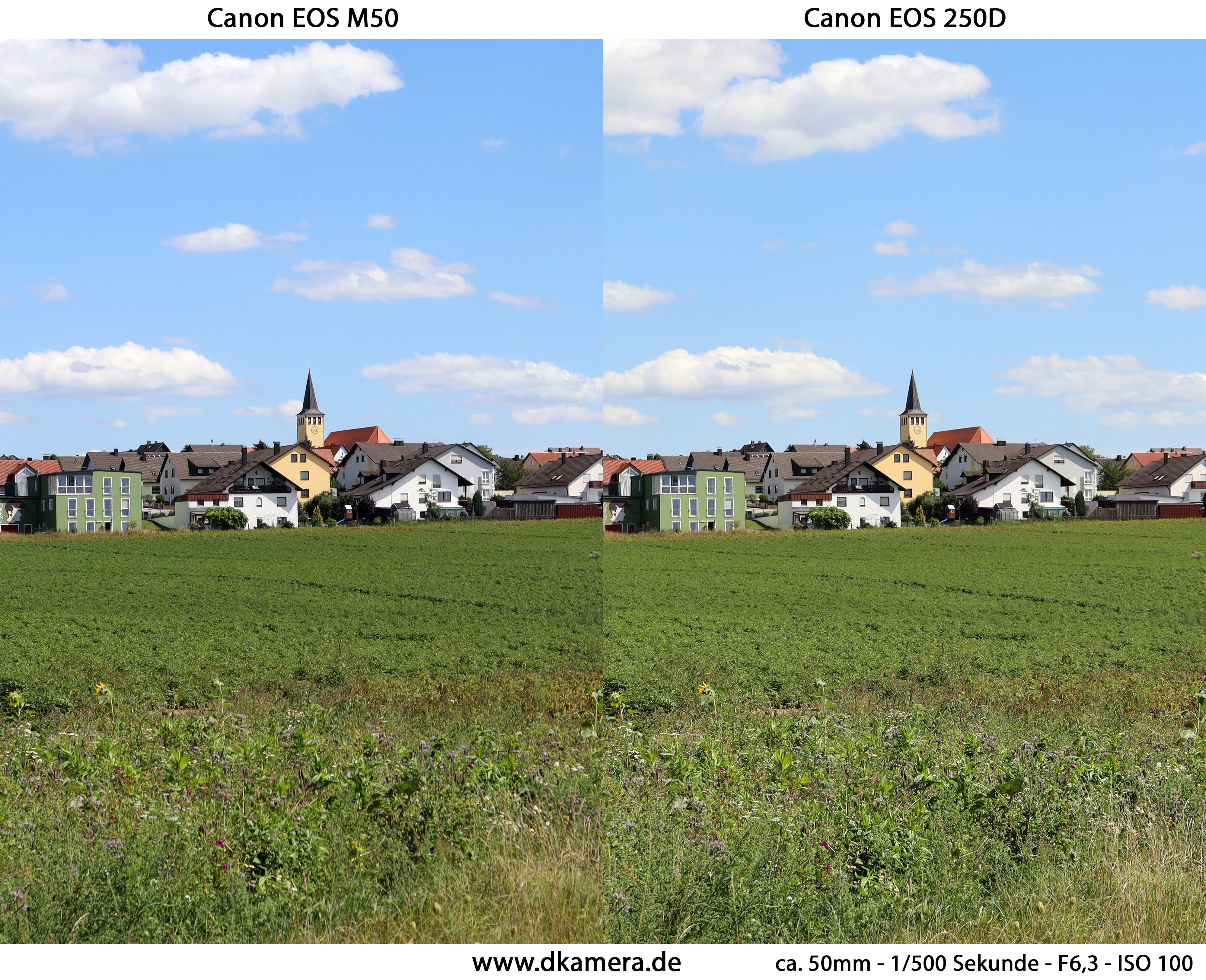 animation sælger kubiske Canon EOS M50 und EOS 250D im Duell (Teil 1) | News | dkamera.de | Das  Digitalkamera-Magazin