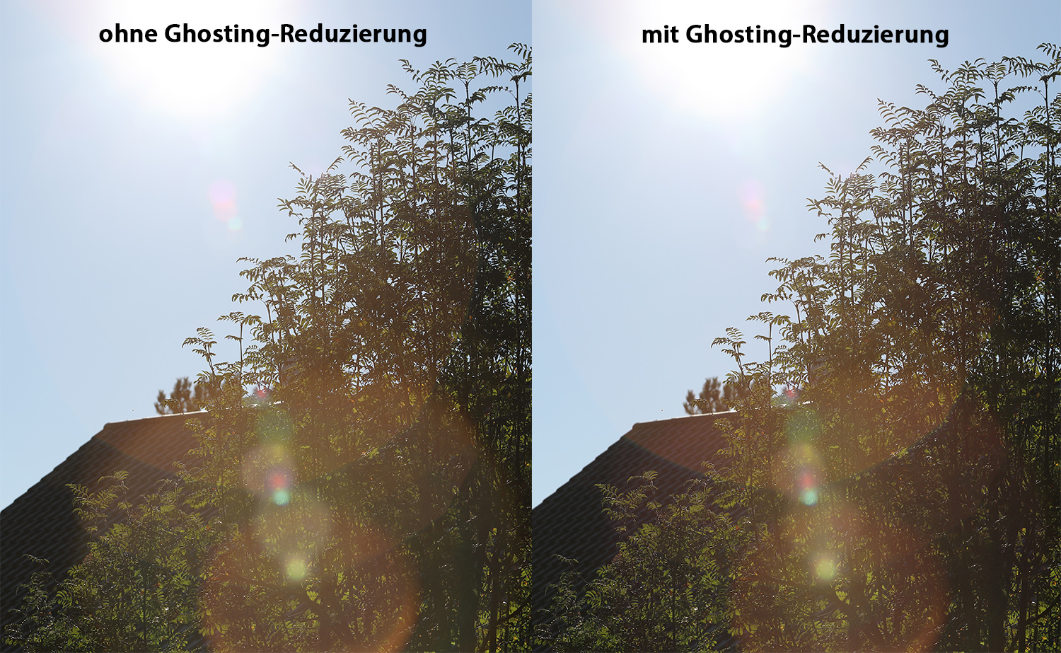 Die Dual Pixel RAWAufnahme im Praxistest News dkamera.de Das