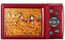 IXUS 175