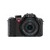 Leica  V-LUX 2