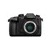 Panasonic Lumix DC-GH5s