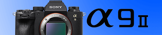 Testbericht Zur Panasonic Lumix Dmc Fz1000 Testberichte Dkamera De Das Digitalkamera Magazin Testbericht Zur Panasonic Lumix Dmc Fz1000 Testberichte Dkamera De Das Digitalkamera Magazin