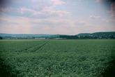 Urheber der Abbildung: dkamera.de