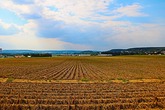 Urheber der Abbildung: dkamera.de