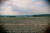 Urheber der Abbildung: dkamera.de