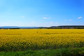 Urheber der Abbildung: dkamera.de