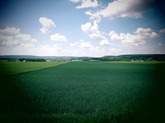 Urheber der Abbildung: dkamera.de