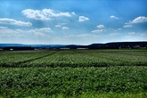 Urheber der Abbildung: dkamera.de