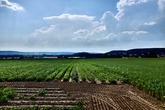Urheber der Abbildung: dkamera.de