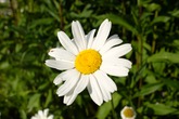 Urheber der Abbildung: dkamera.de