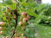 Urheber der Abbildung: dkamera.de