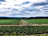 Urheber der Abbildung: dkamera.de