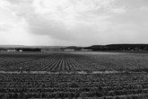 Urheber der Abbildung: dkamera.de