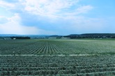 Urheber der Abbildung: dkamera.de