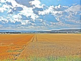 Urheber der Abbildung: dkamera.de