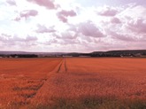 Urheber der Abbildung: dkamera.de