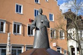Urheber der Abbildung: dkamera.de