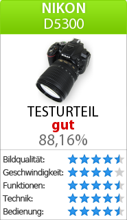 Testbericht zur Nikon D5300