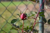 Urheber der Abbildung: dkamera.de
