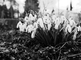 Urheber der Abbildung: dkamera.de