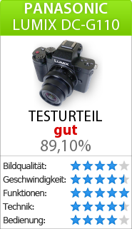 Testbericht zur Panasonic Lumix DC-G110