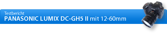 Panasonic Lumix DC-GH5 II Einleitung