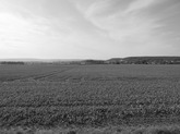 Urheber der Abbildung: dkamera.de
