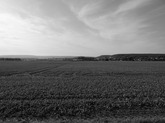 Urheber der Abbildung: dkamera.de