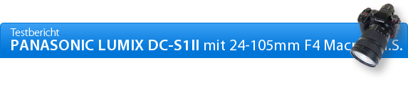 Panasonic Lumix DC-S1II Beispielaufnahmen