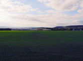 Urheber der Abbildung: dkamera.de