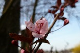 Urheber der Abbildung: dkamera.de